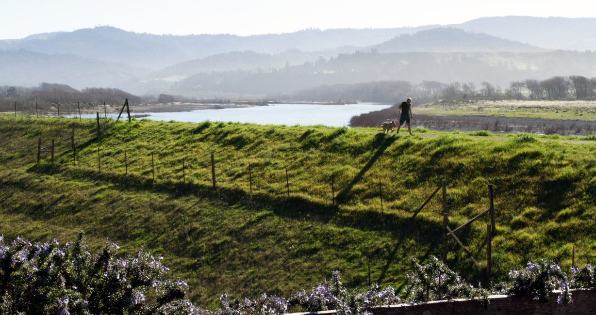 A man walking his dog along the Eel River - Photographer: Jamee Morrow